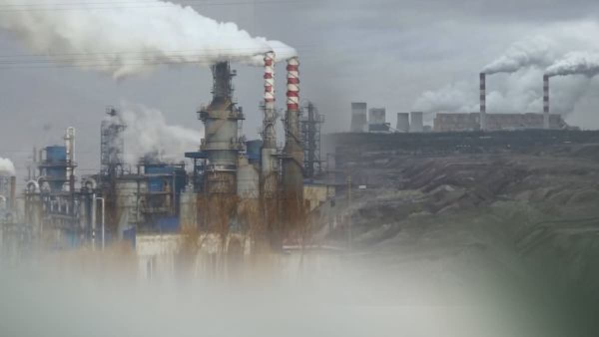 South Korea Turns Soil Into Carbon Storage With New Tech