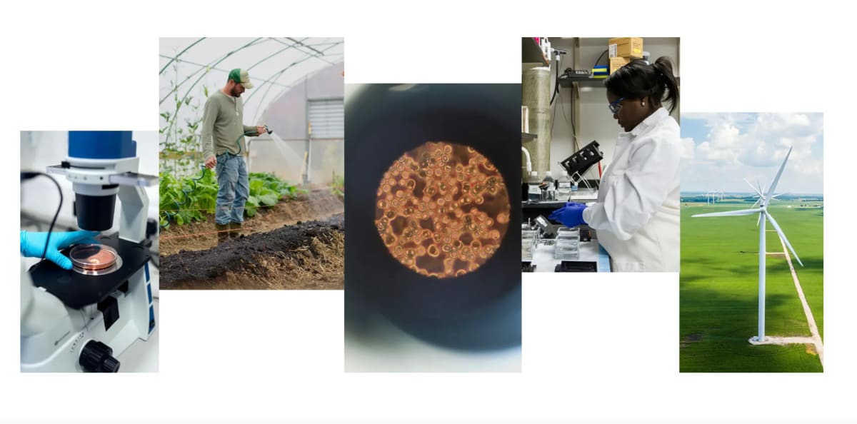 Google Opens $30M AI for Science Challenge for Nonprofits