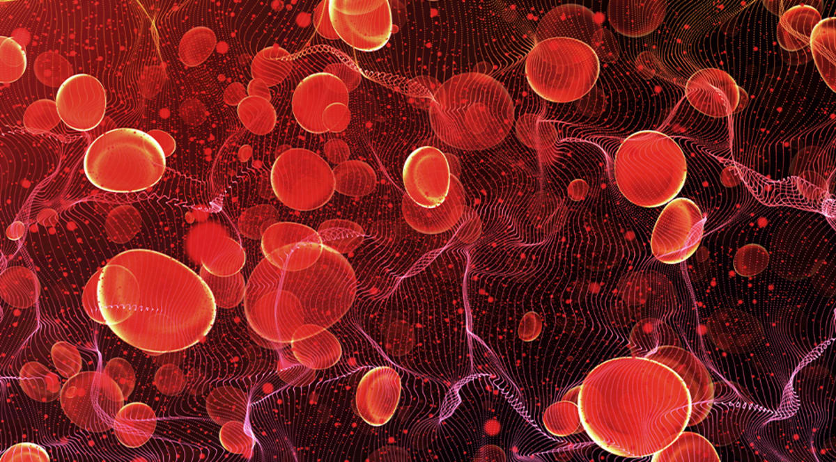 Medical researcher examining refrigerated platelet storage units in modern hospital laboratory setting