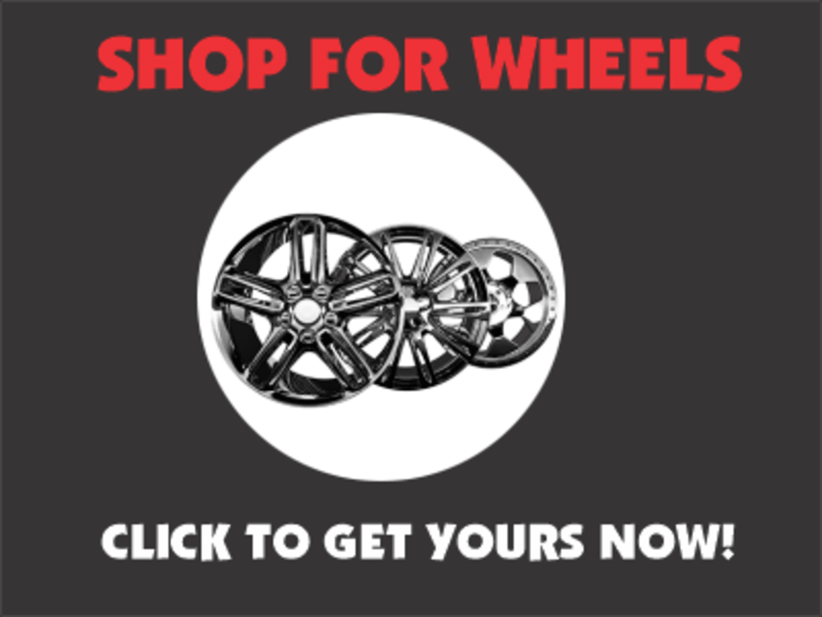 Rockwood Firefighters Save Dog From House Fire - Image 4