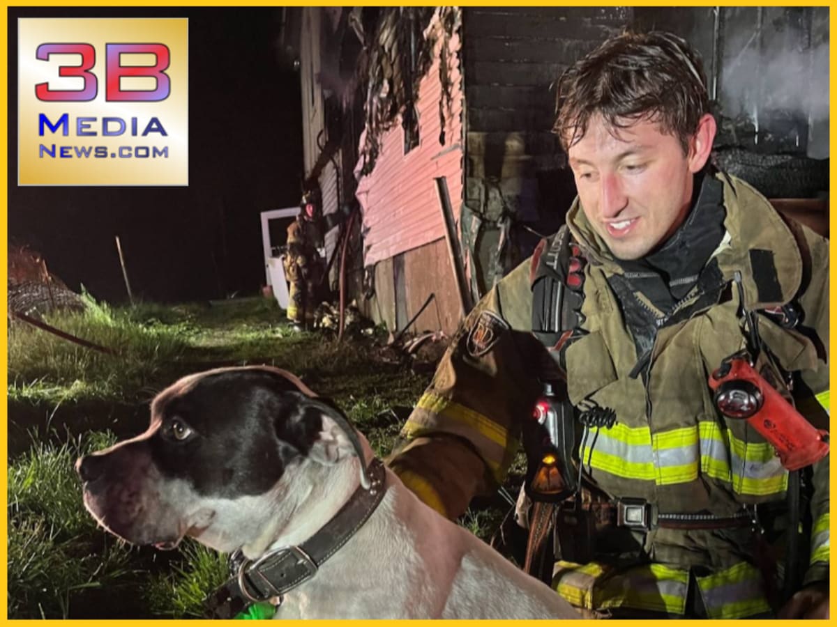 Rockwood Firefighters Save Dog From House Fire