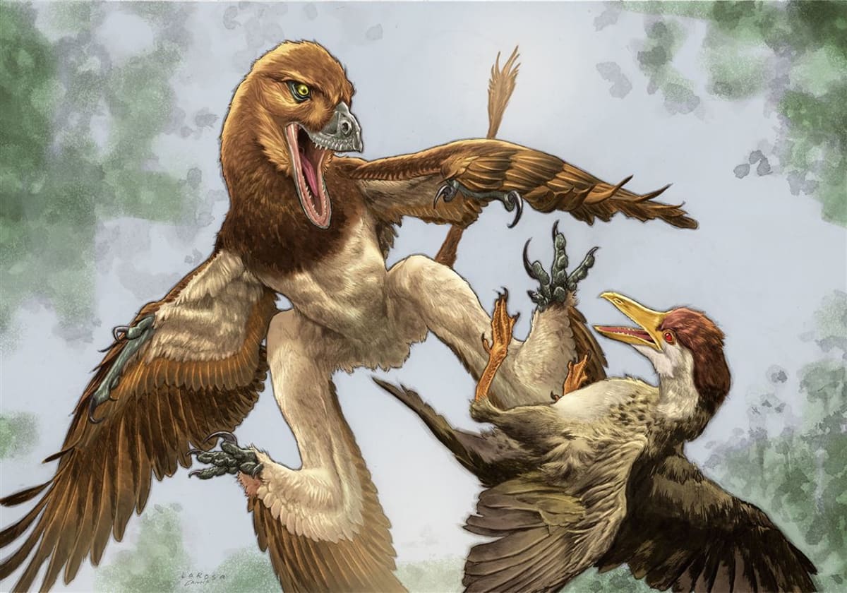 Pittsburgh Museum Finds Gliding Dinosaur in China
