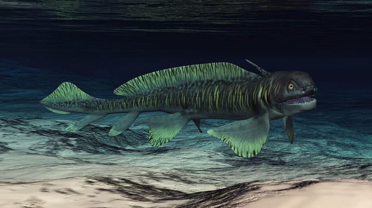 Tiny Fossil Rewrites How Life First Walked on Land - Image 5