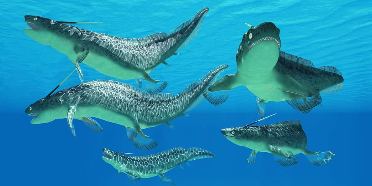 436-Million-Year-Old Fish Fossil Reveals Evolution Secrets - Image 2