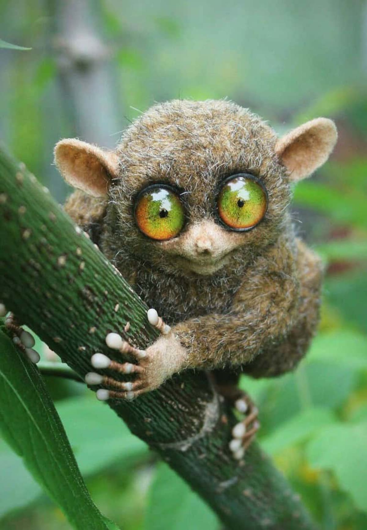 Tiny Dragon Extinct 50 Years Returns, 500 Needed to Survive - Image 5