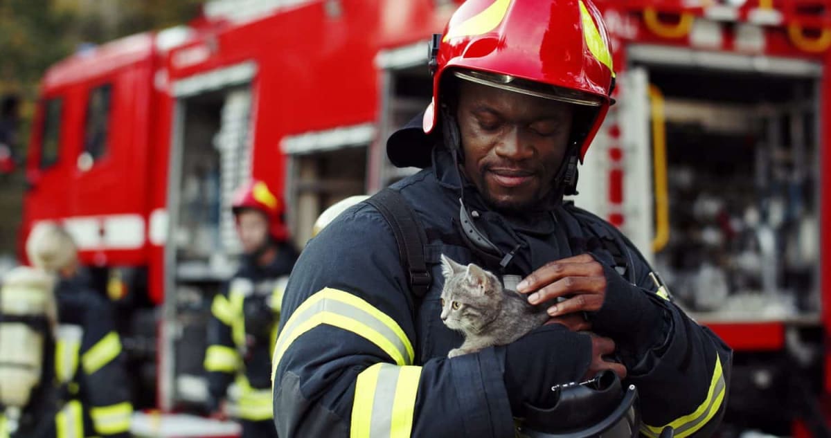 Firefighter in protective gear gently carrying rescued cat from burning building