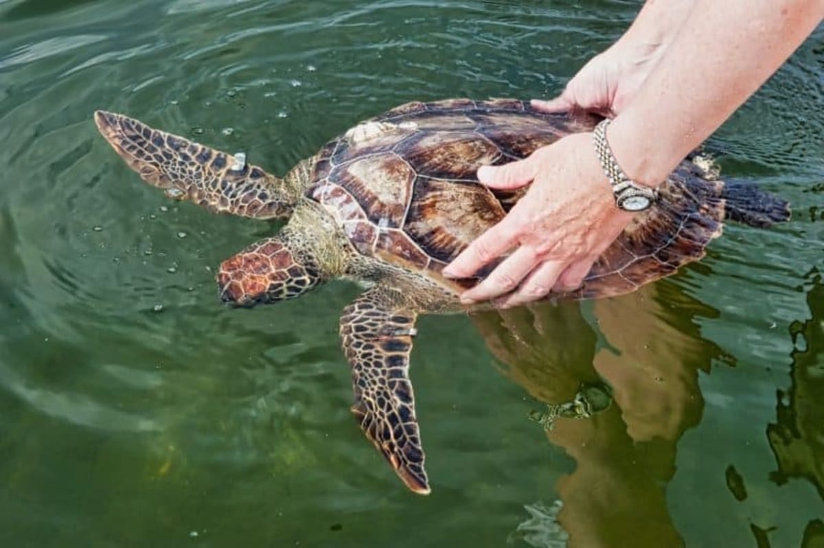 Oregon Raises Hotel Tax to Protect 321 At-Risk Species - Image 4