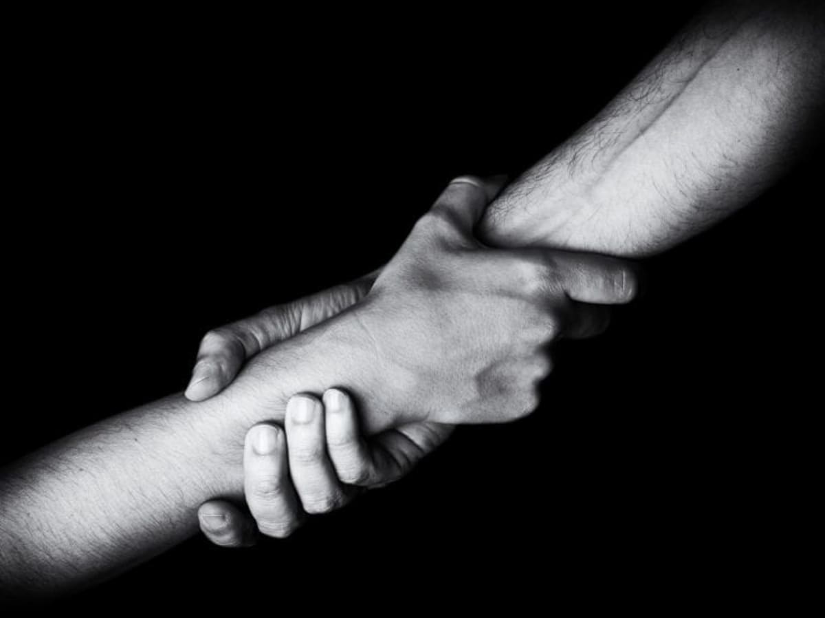 Melby the Manatee Freed From Florida Storm Drain - Image 5