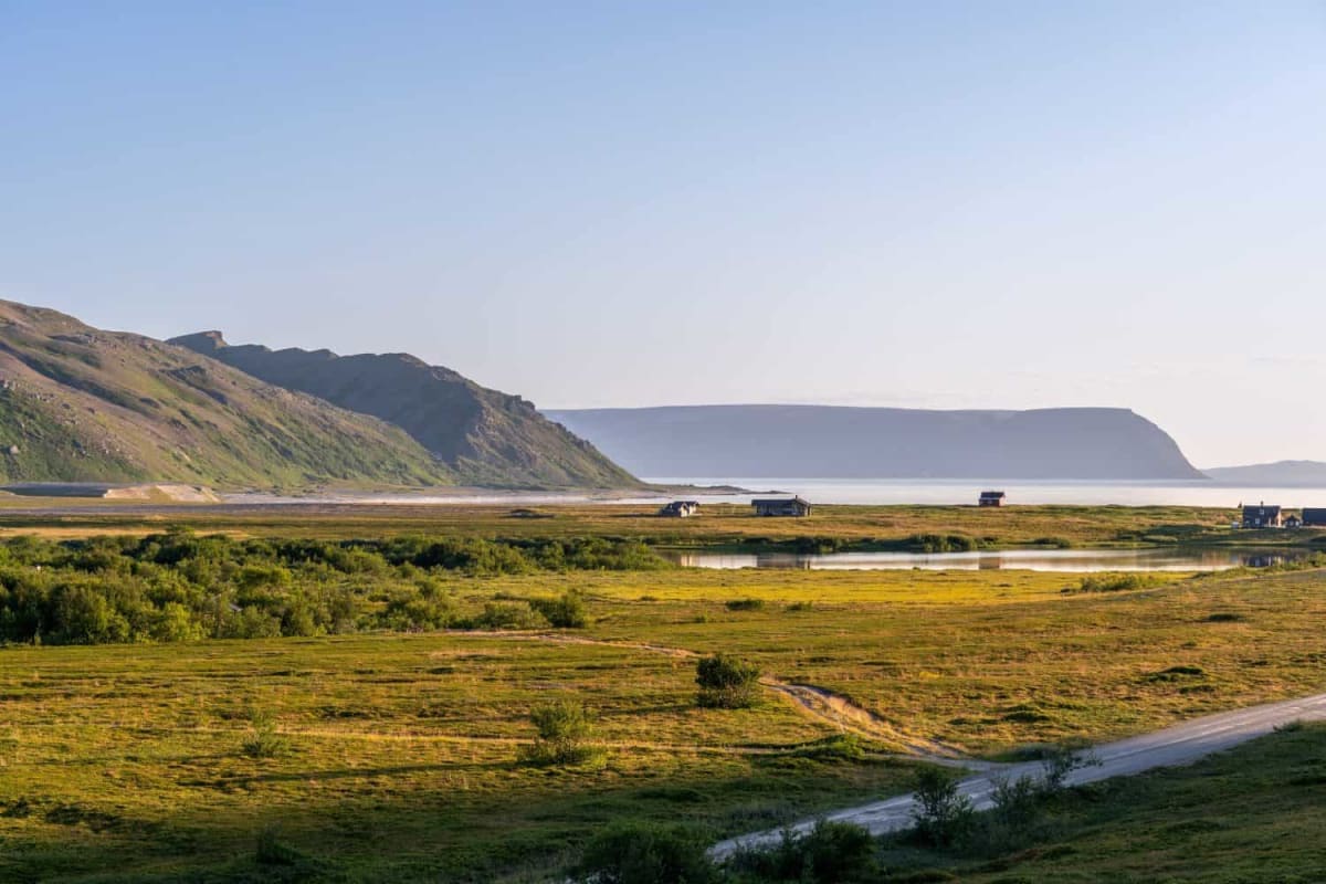 560-Million-Year-Old Animal Found in Arctic Sheep Field - Image 2