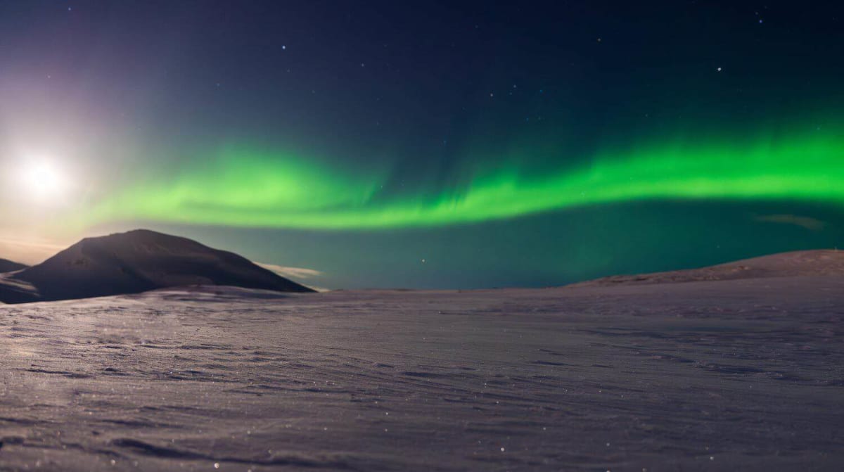 560-Million-Year-Old Animal Found in Arctic Sheep Field