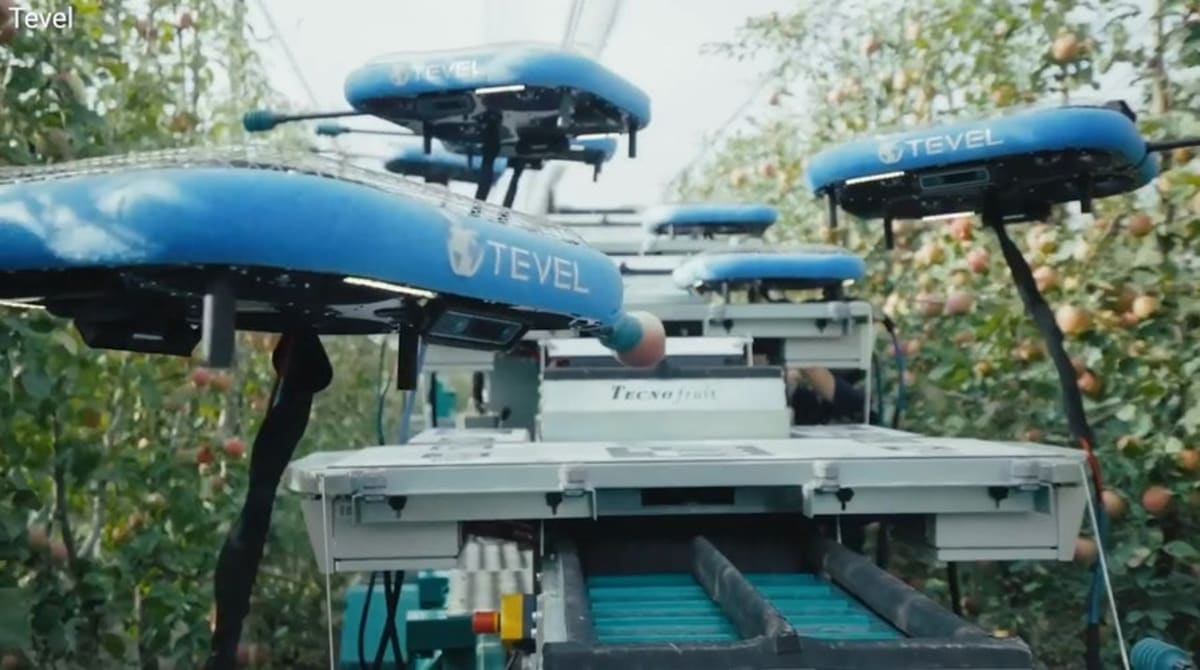Florida's AI Beehives Cut Colony Collapse By 70 Percent - Image 3