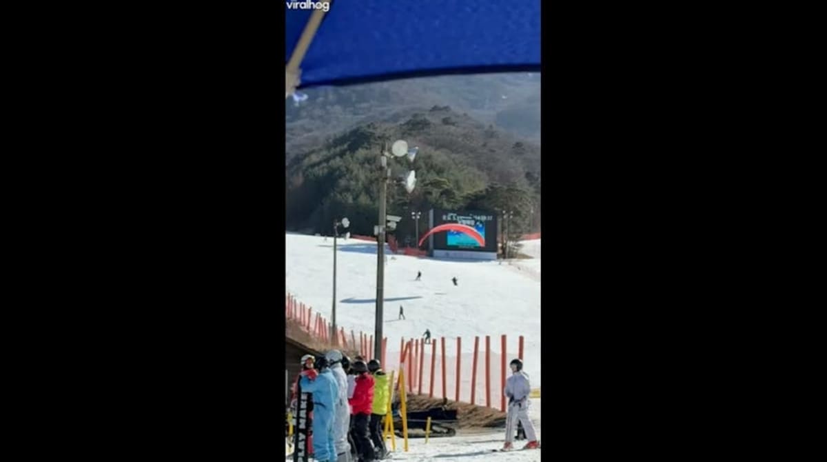 Paraglider Lands Safely on Crowded Ski Slope in South Korea - Image 3