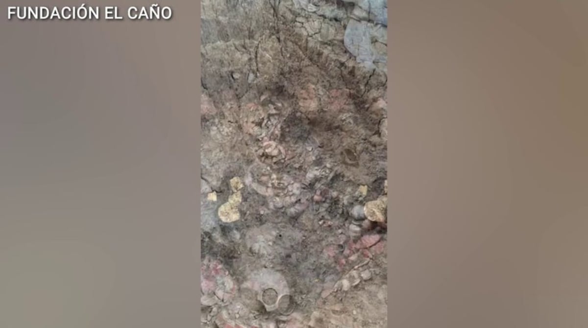 Iron Age Wagon Discovery Rewrites British History - Image 3