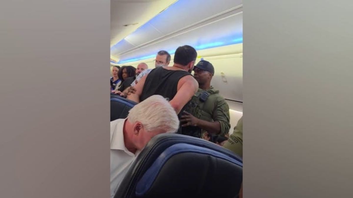 Retired Police Chief Stops Violent Passenger at 35,000 Feet - Image 3