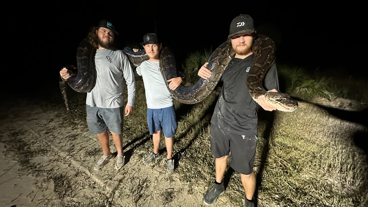 Florida Hunter Captures 96 Pythons in 10 Days, Wins Challenge - Image 4