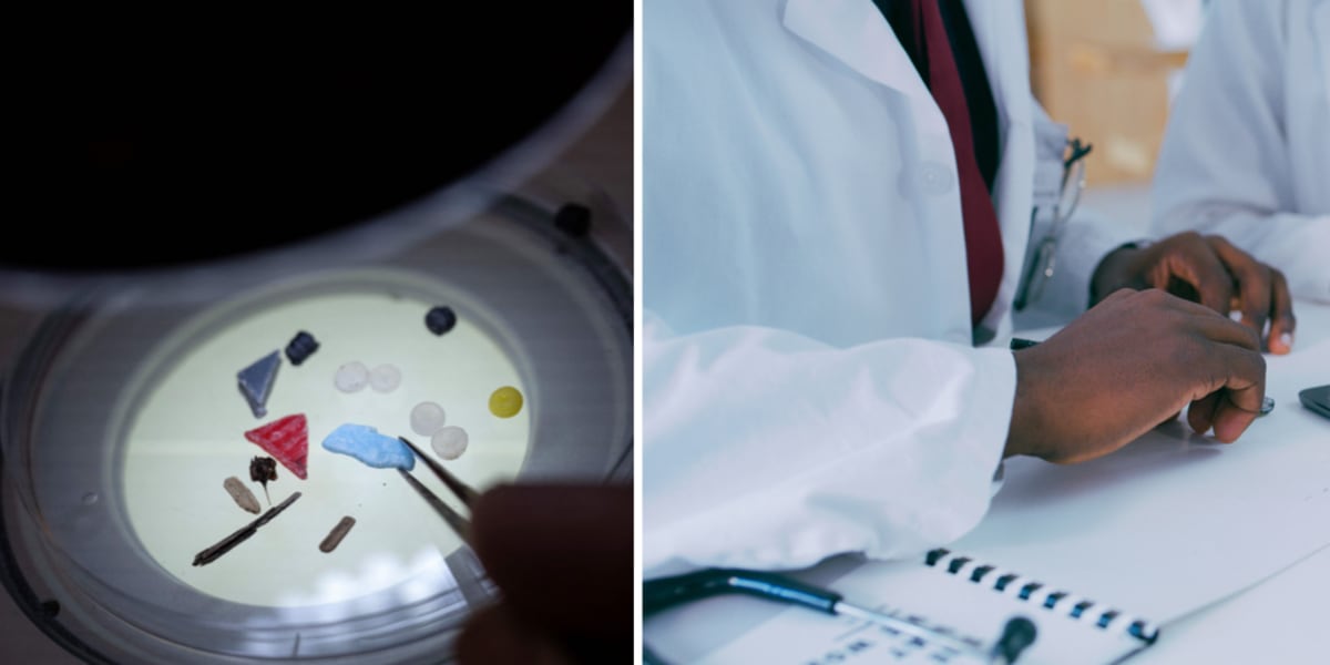 US Launches $134M Program to Remove Microplastics From Bodies - Image 2