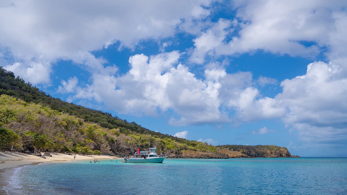 Coast Guard Saves 5 After Rescue Boat Capsizes Off Puerto Rico - Image 3