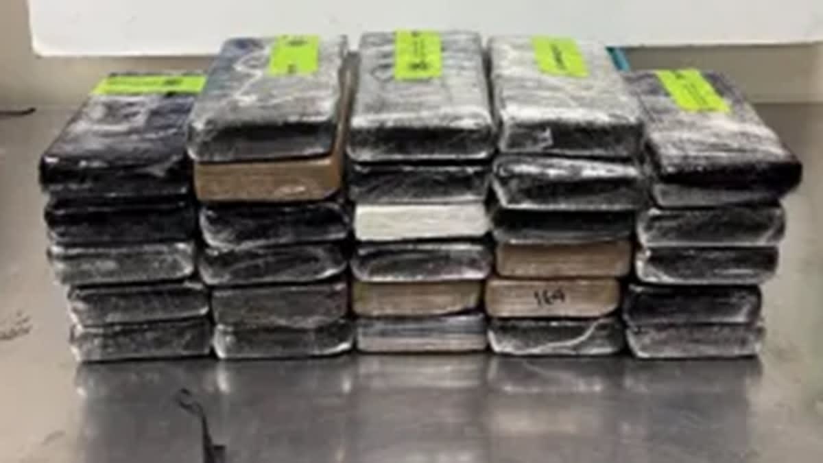 Texas Officers Find $10.8M in Cocaine Hidden in Cabbage - Image 3