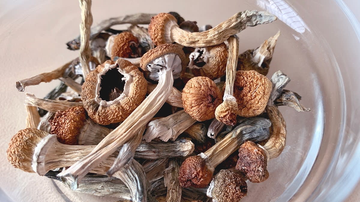 Woman with Alzheimer's Regains Speech After Psilocybin - Image 3