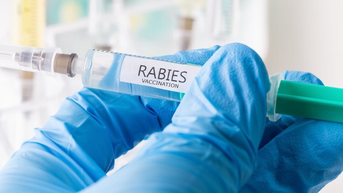 5 Vaccines That Saved Millions of American Lives - Image 5