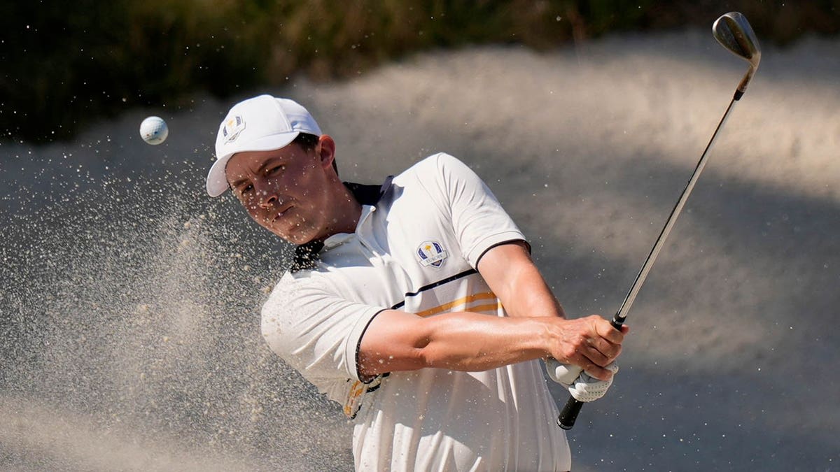 English Golfer Silences USA Crowd After Playoff Win - Image 4