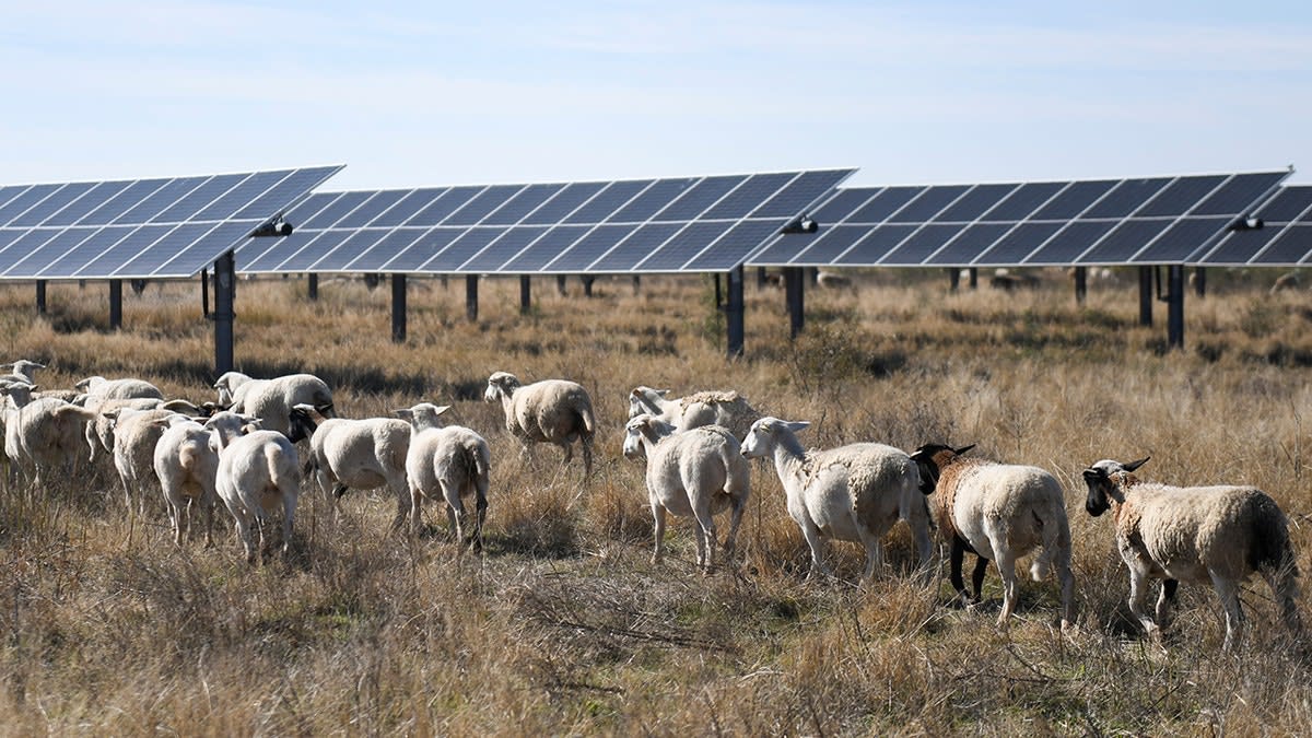 Red States Lead US Clean Energy with 75% of New Solar - Image 4