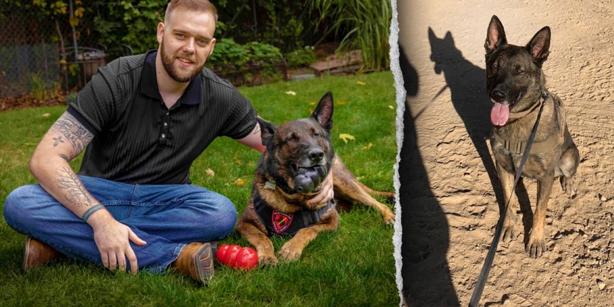 Army Vet Reunites With War Hero Dog After 2 Years Apart - Image 2