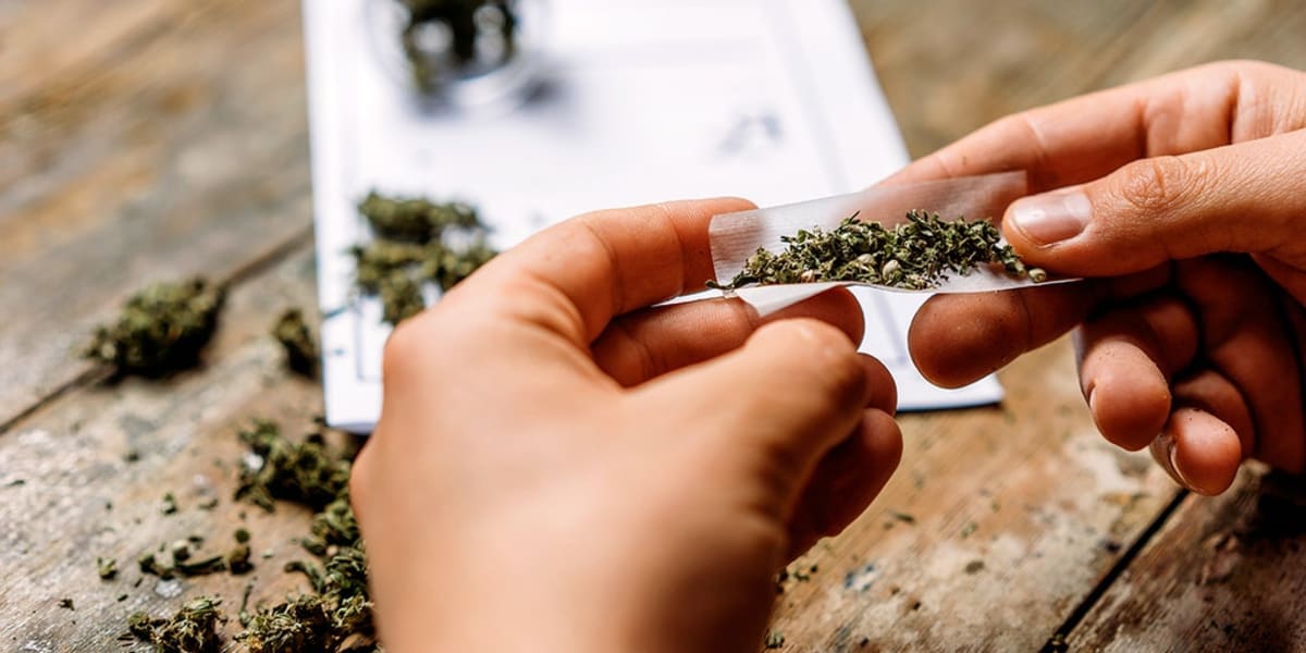 Cannabis Compounds Reduce Liver Fat in New Study - Image 2