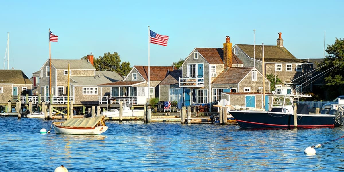 Nantucket Tests Antibody Mice to Fight Lyme Disease - Image 2