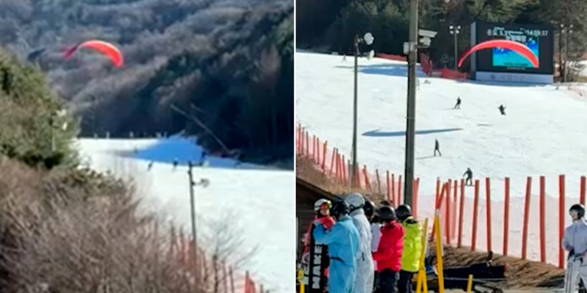 Paraglider Lands Safely on Crowded Ski Slope in South Korea - Image 2