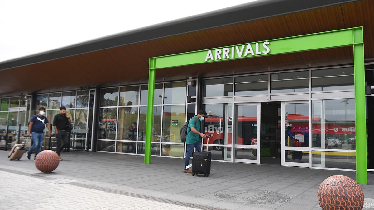 Possum Hides Among Plush Toys at Australian Airport - Image 4