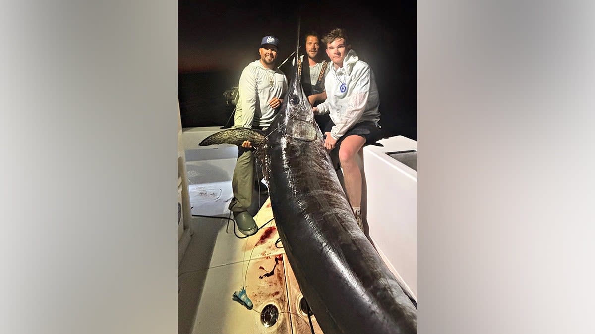 Captain's 480-Pound Swordfish Feeds Entire Florida Town - Image 4