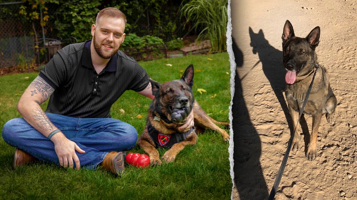 Army Vet Reunites With War Hero Dog After 2 Years Apart - Image 3