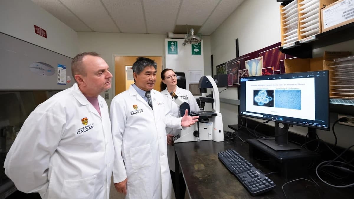 Vitamin B3 Shows Promise Against Deadliest Brain Cancer - Image 4