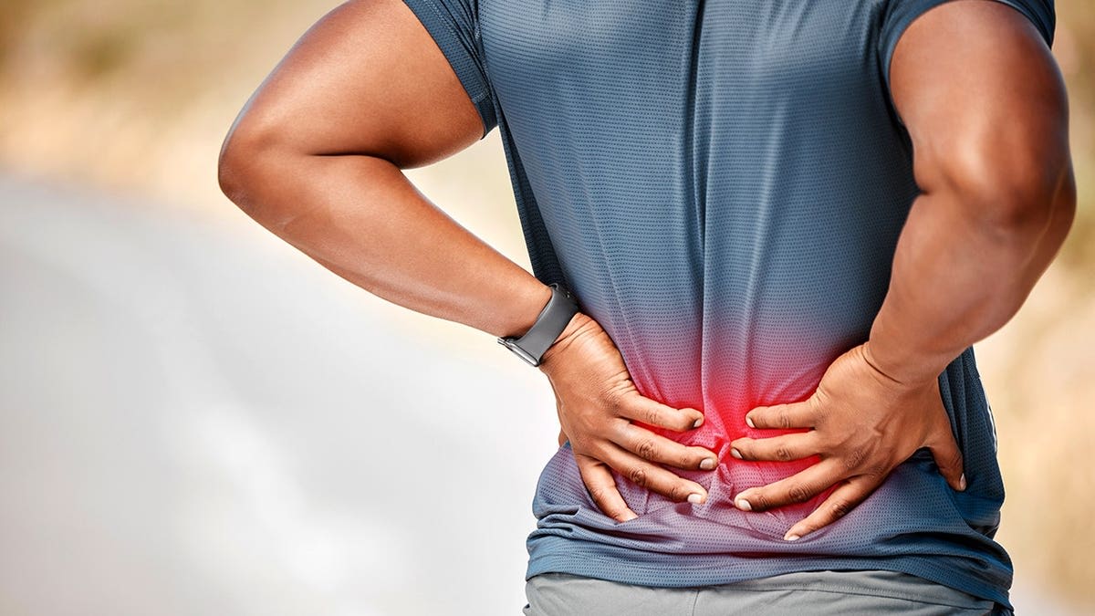 Bone Drug Shows Promise for Chronic Back Pain Relief - Image 4