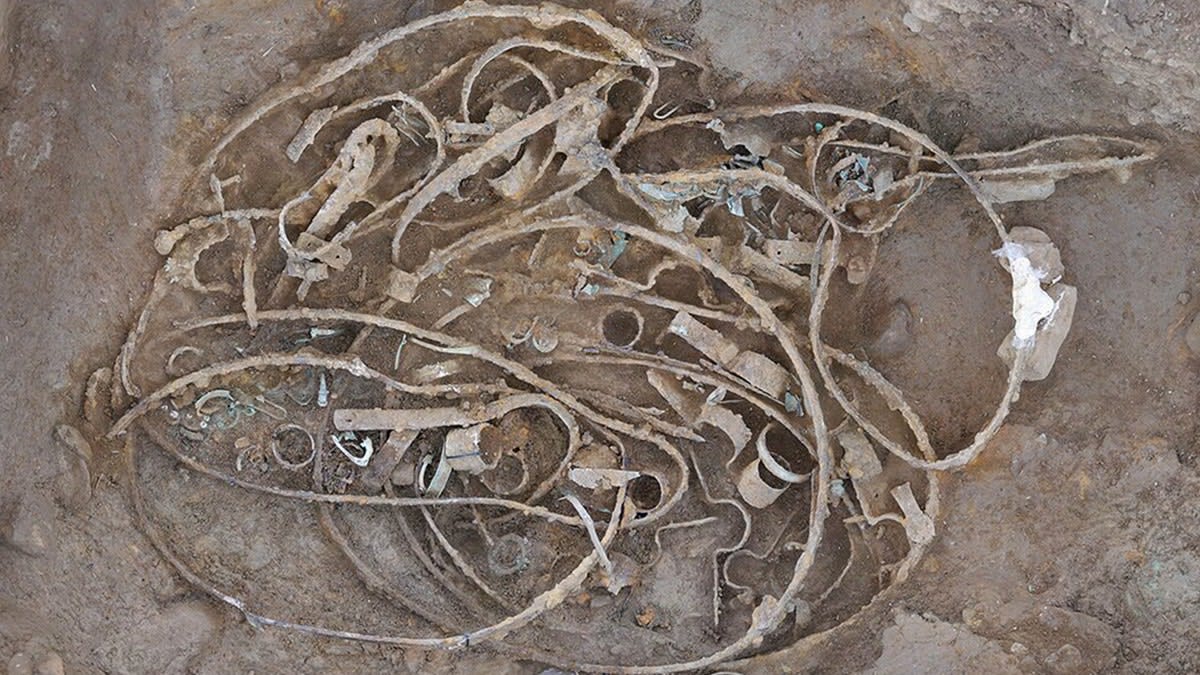 Iron Age Wagon Discovery Rewrites British History - Image 5