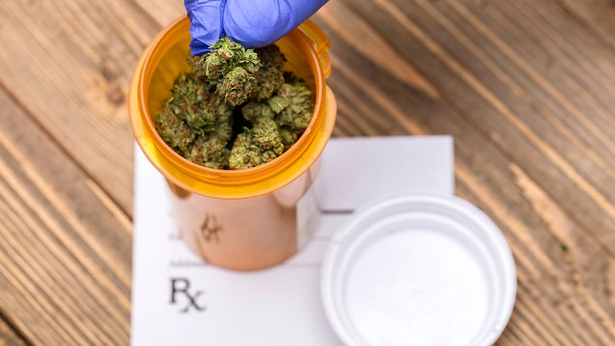 Cannabis Compounds Reduce Liver Fat in New Study - Image 5