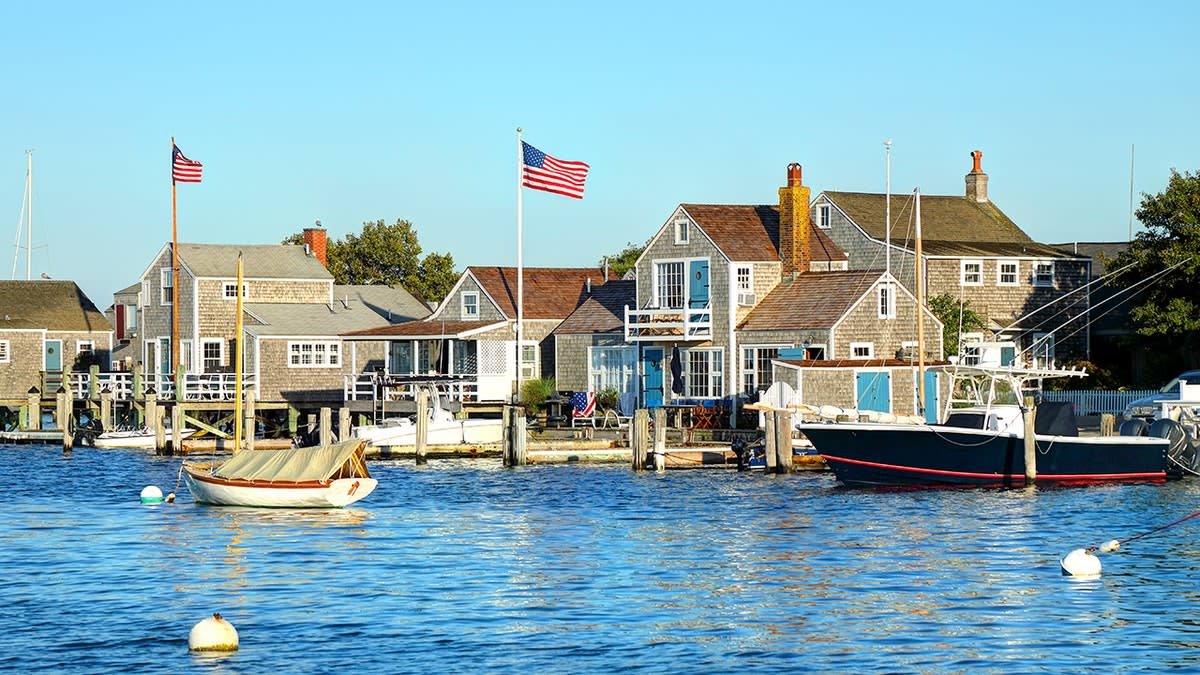 Nantucket Tests Antibody Mice to Fight Lyme Disease - Image 5