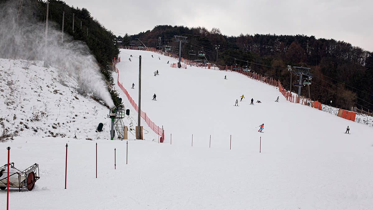 Paraglider Lands Safely on Crowded Ski Slope in South Korea - Image 5