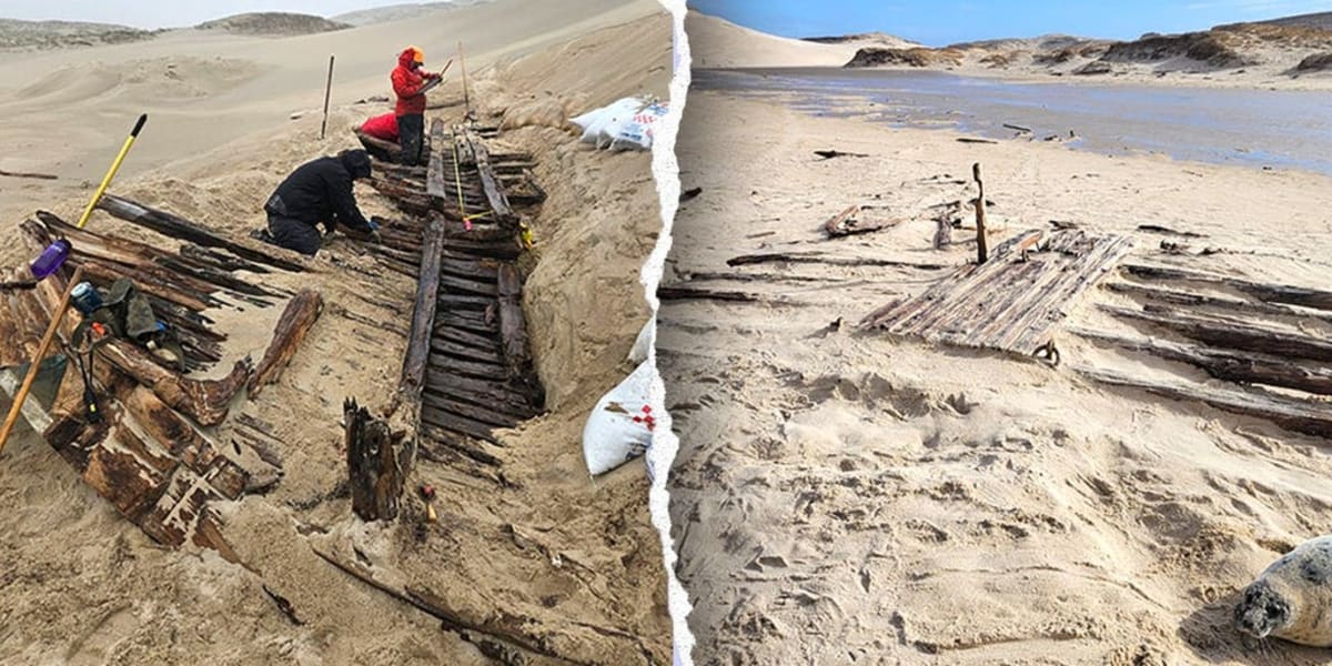 Park Rangers Find 200-Year-Old Shipwreck in Canada - Image 2
