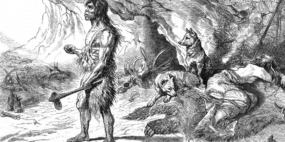 Dogs Were Ice Age Hunting Partners 16,000 Years Ago - Image 2