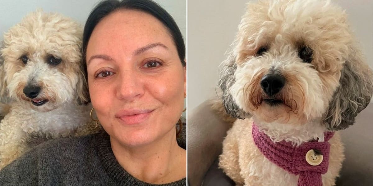Woman and Dog Both Beat Breast Cancer Together - Image 2