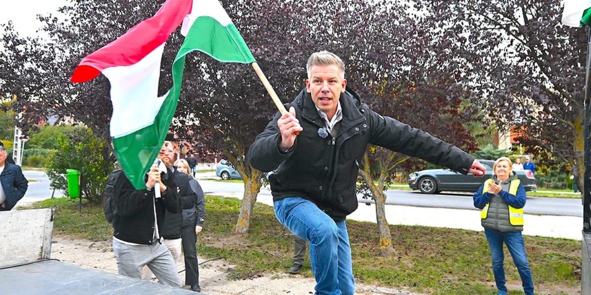 Hungarian Reformer Ends Orbán's 16-Year Rule in 2026 Vote - Image 2