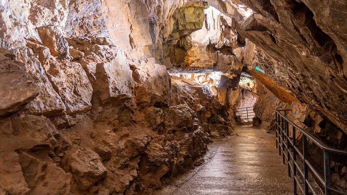 Dogs Were Ice Age Hunting Partners 16,000 Years Ago - Image 4