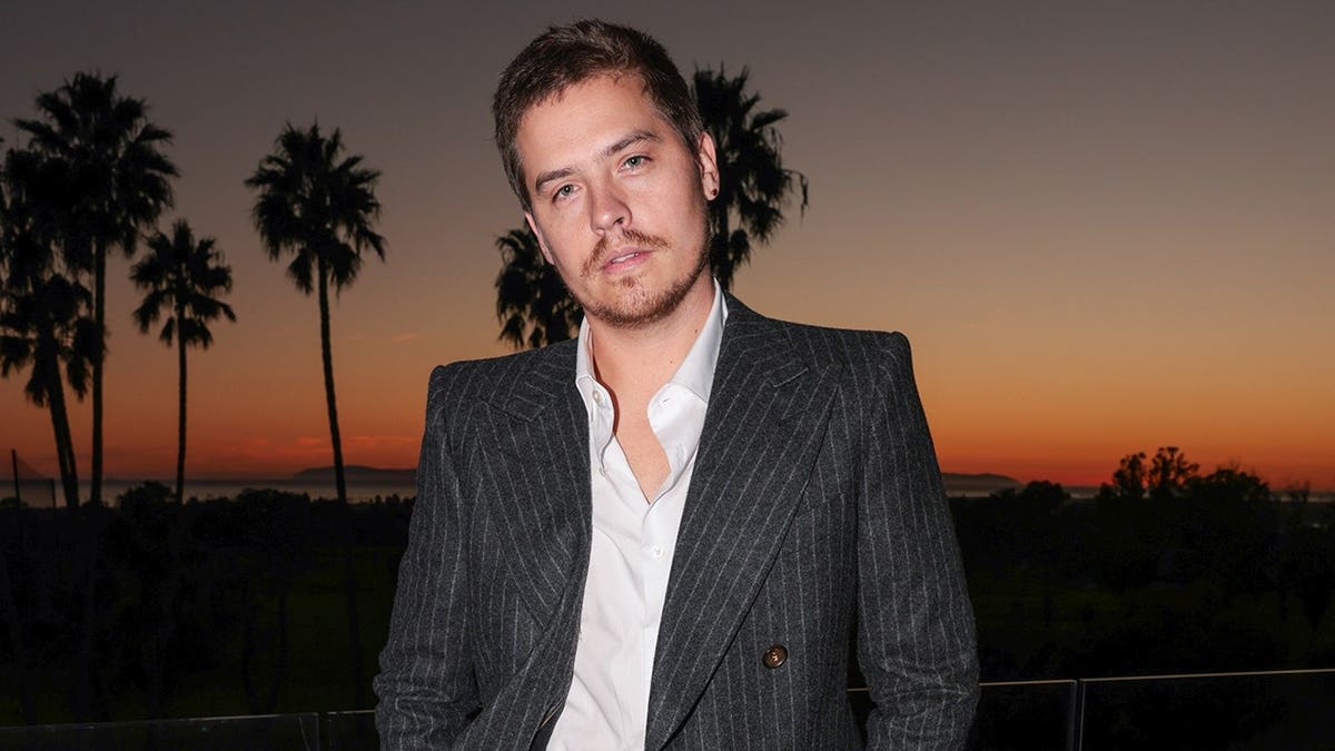 Dylan Sprouse Stops Burglar at LA Home, Holds Until Police Arrive - Image 4