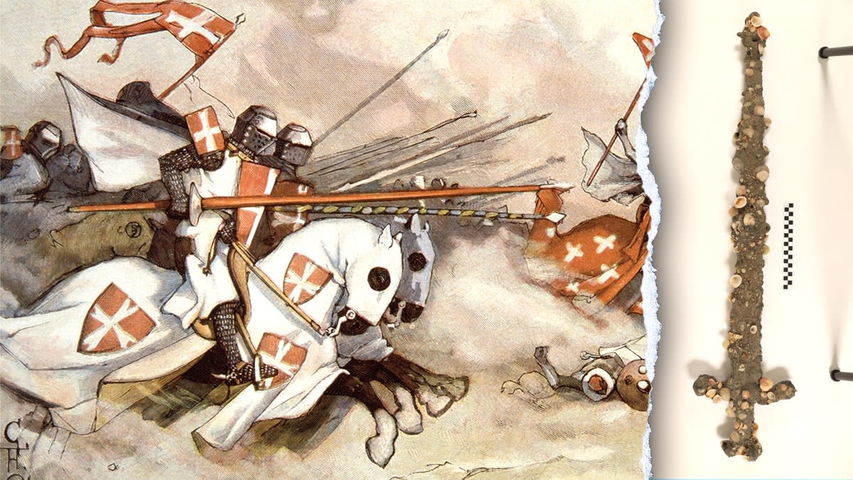 Student Chases Off Thieves, Finds 900-Year-Old Crusader Sword - Image 3