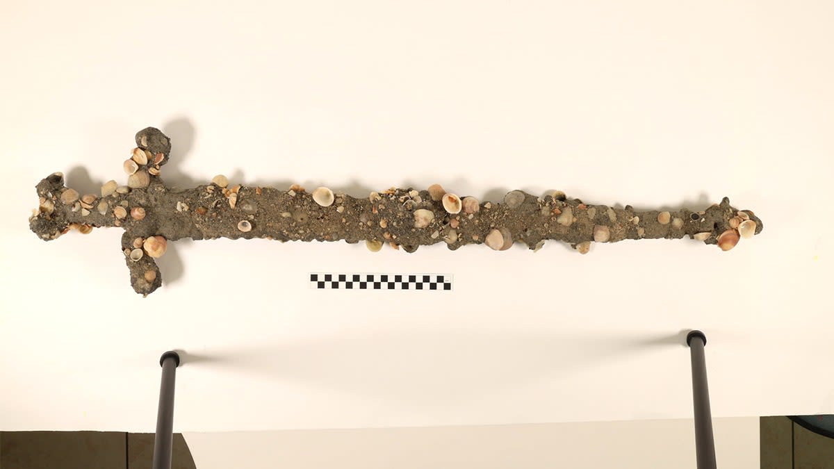 Student Chases Off Thieves, Finds 900-Year-Old Crusader Sword - Image 4