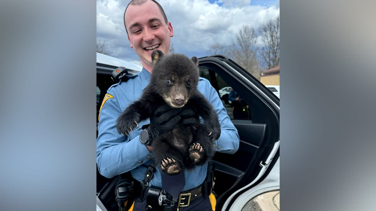 New Jersey Troopers Rescue Tiny Bear Cub From Highway - Image 3