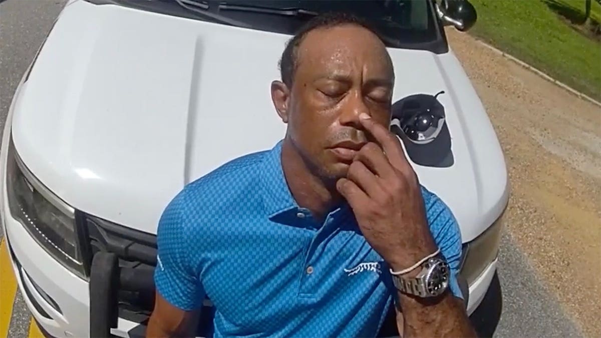Golf Legends Support Tiger Woods as He Seeks Treatment - Image 5