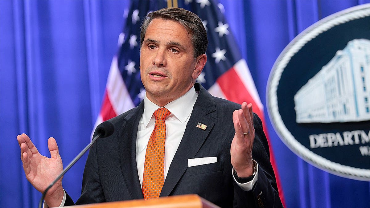 Task Force Flags $6.3B in Fraudulent Government Contracts - Image 5